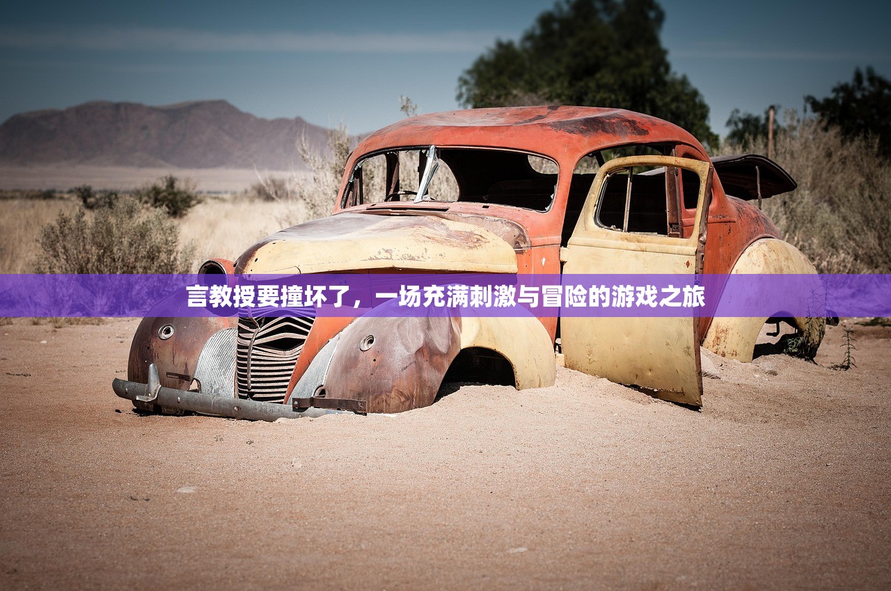 言教授要撞坏了，一场充满刺激与冒险的游戏之旅