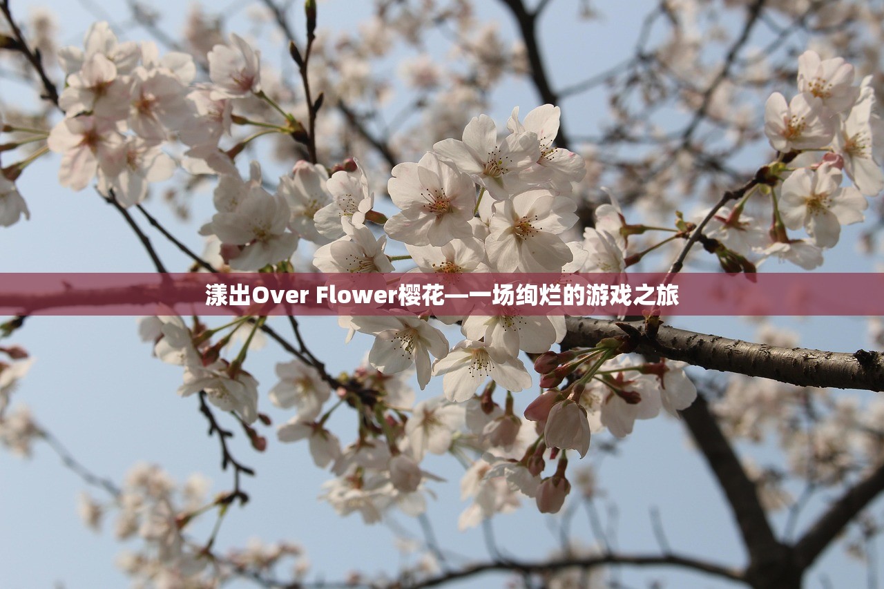 漾出Over Flower樱花—一场绚烂的游戏之旅