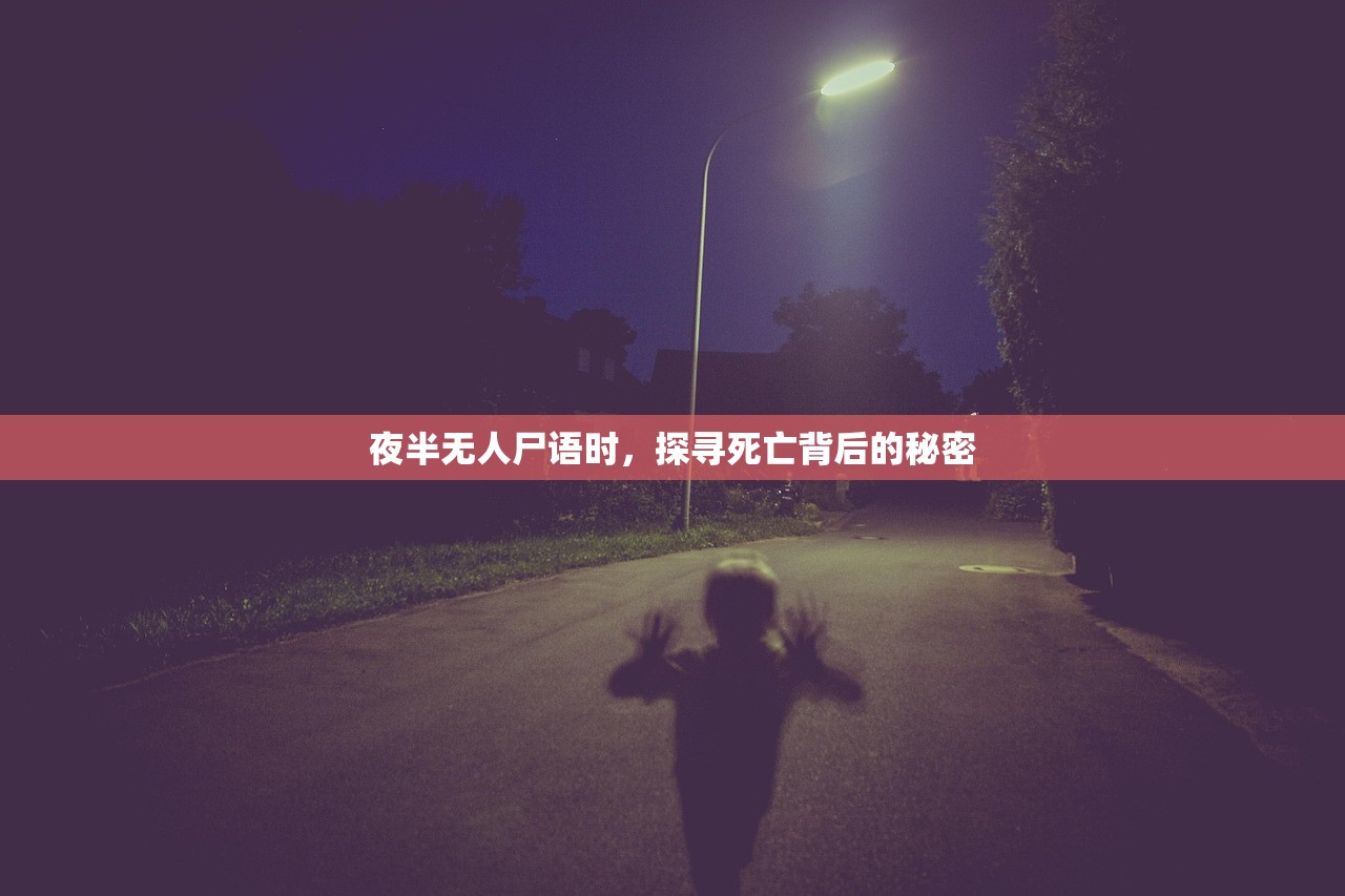 夜半无人尸语时，探寻死亡背后的秘密