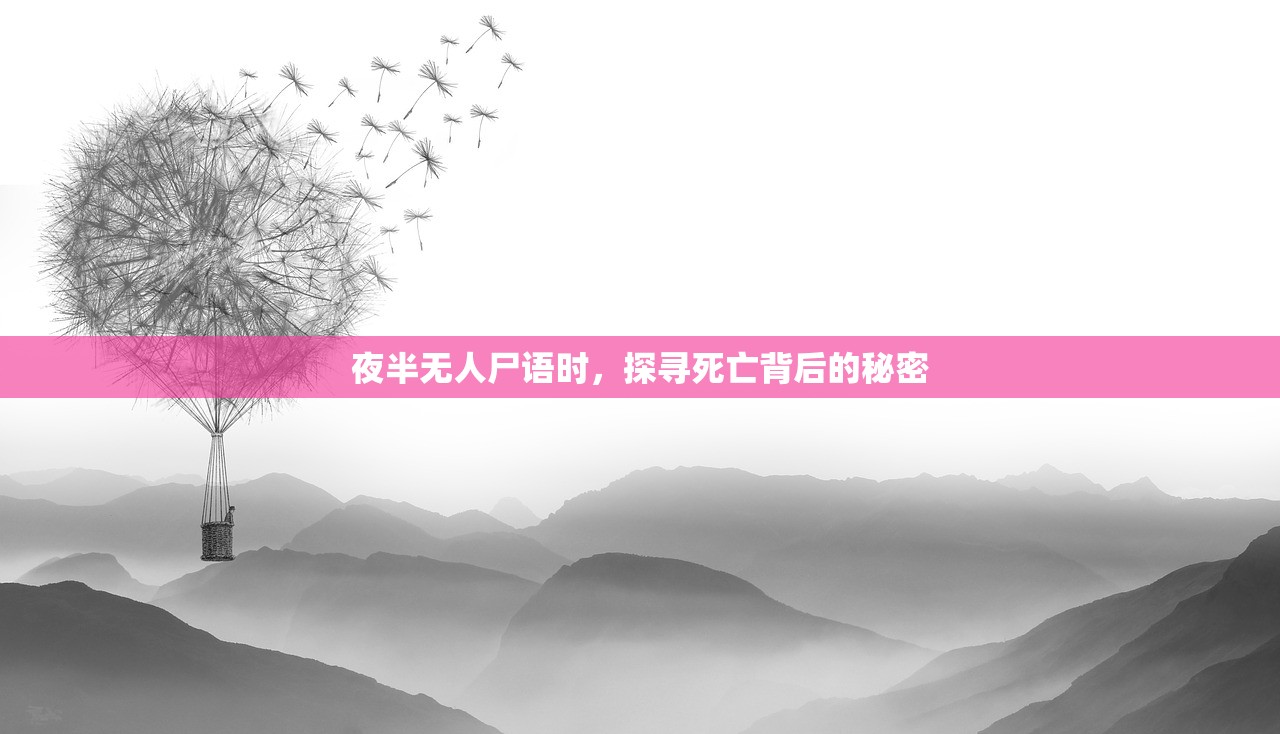 夜半无人尸语时，探寻死亡背后的秘密