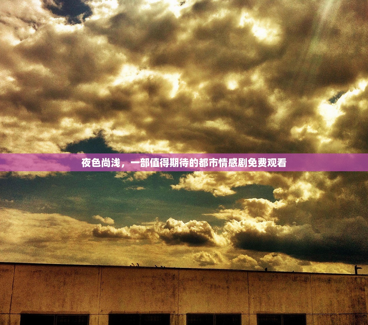 夜色尚浅，一部值得期待的都市情感剧免费观看