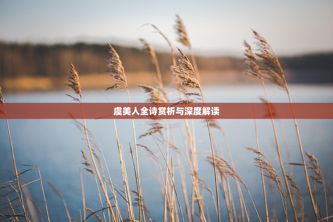 虞美人全诗赏析与深度解读