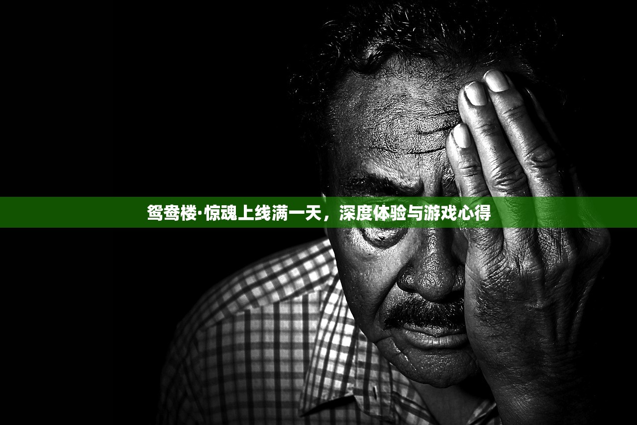 鸳鸯楼·惊魂上线满一天，深度体验与游戏心得