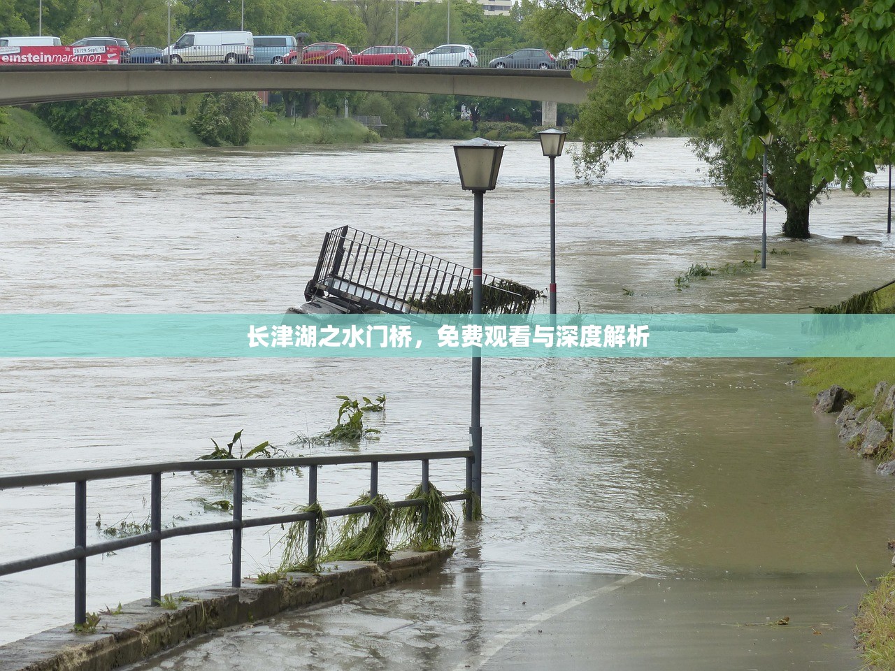 长津湖之水门桥，免费观看与深度解析