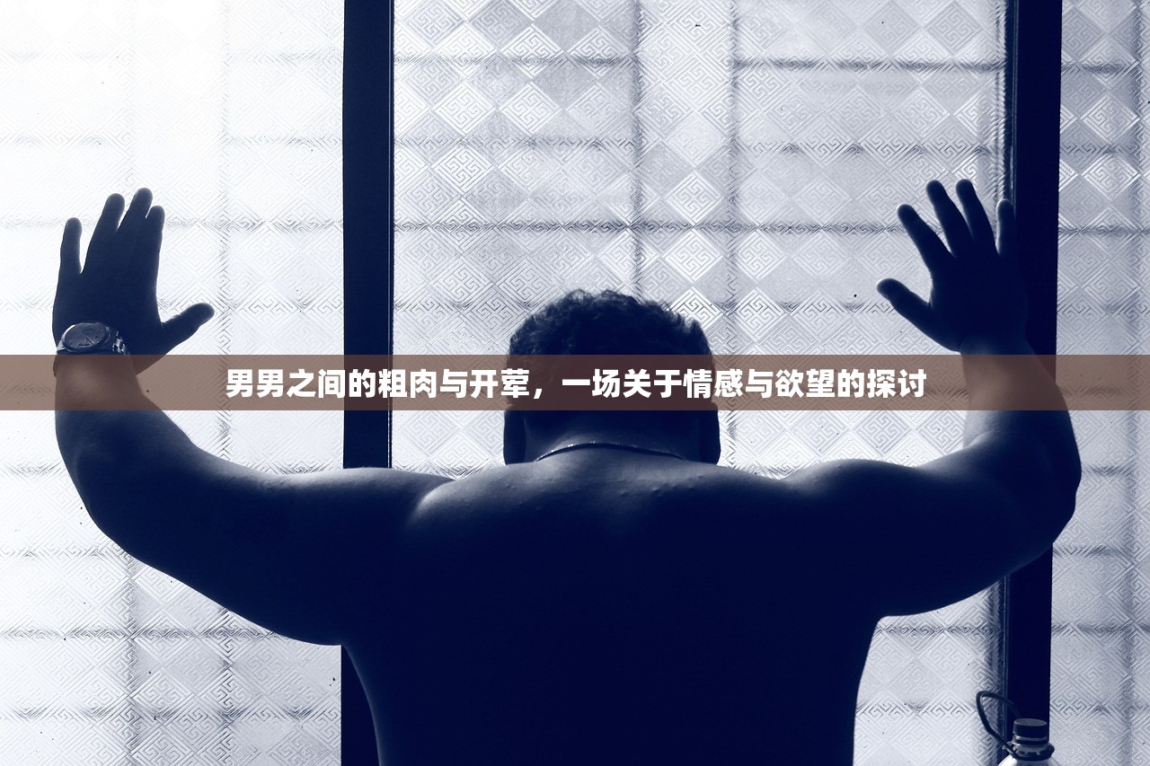 男男之间的粗肉与开荤，一场关于情感与欲望的探讨