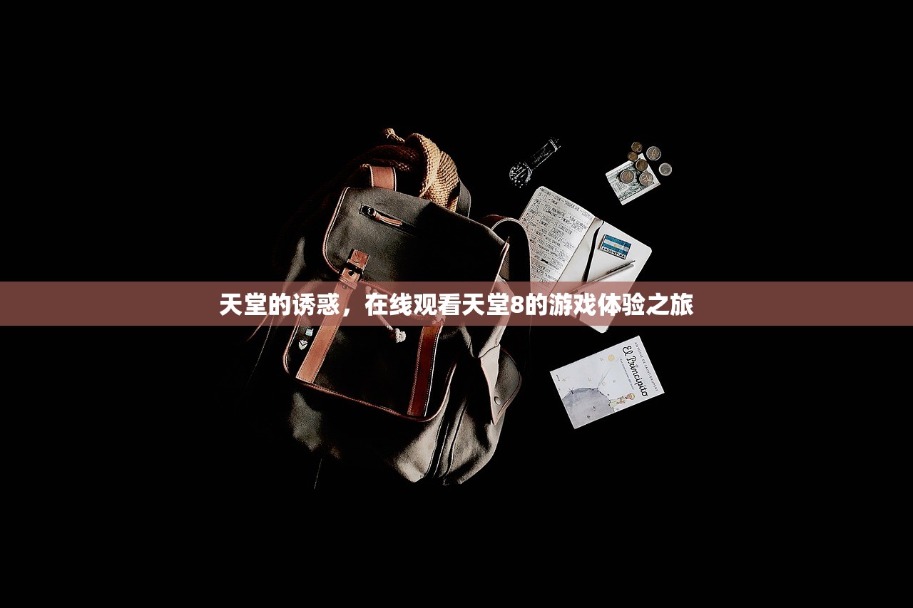 天堂的诱惑，在线观看天堂8的游戏体验之旅