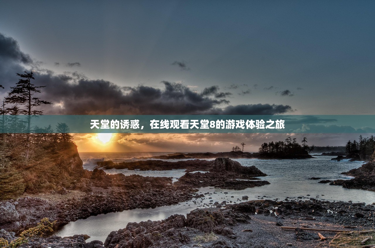 天堂的诱惑，在线观看天堂8的游戏体验之旅