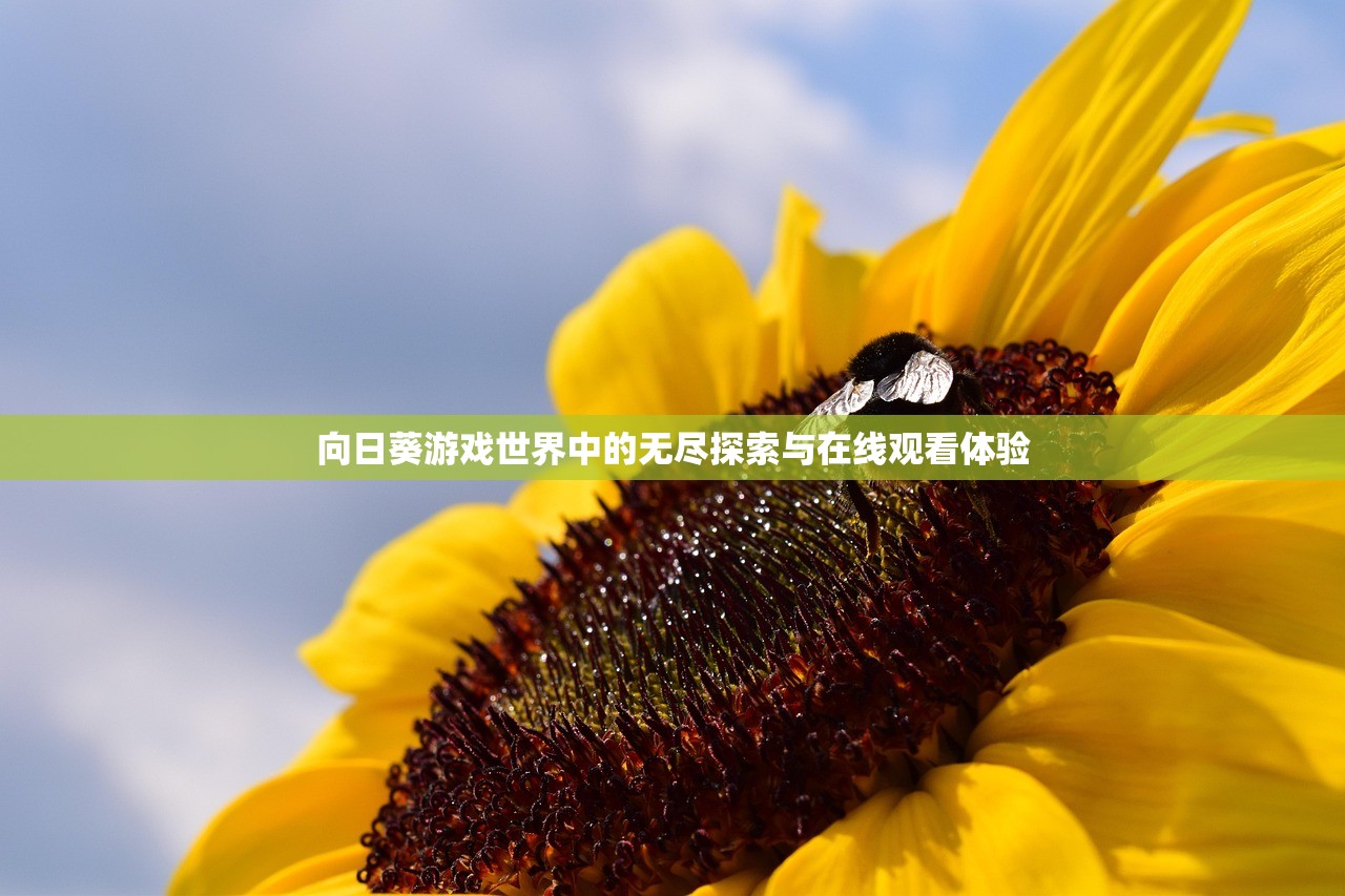 向日葵游戏世界中的无尽探索与在线观看体验