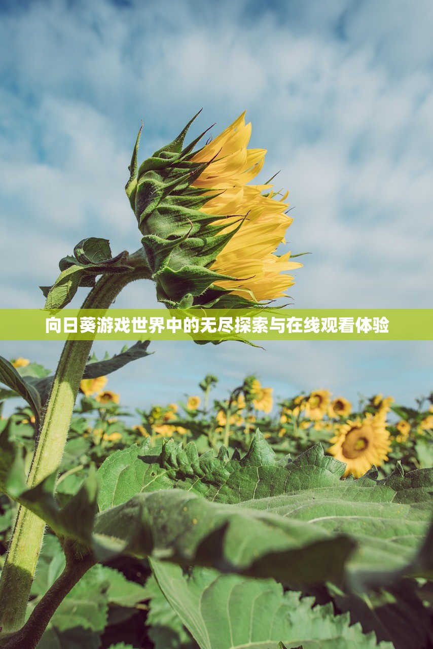 向日葵游戏世界中的无尽探索与在线观看体验