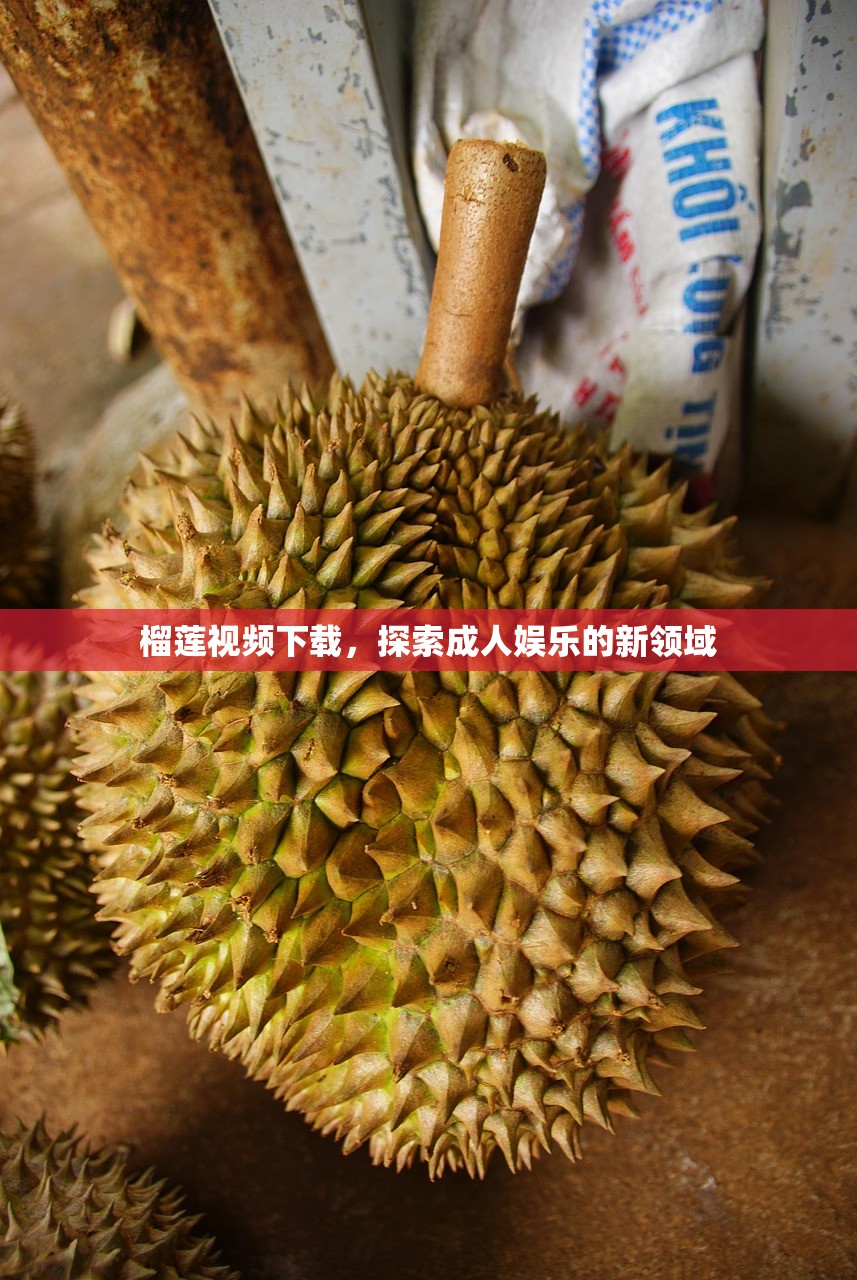 榴莲视频下载，探索成人娱乐的新领域