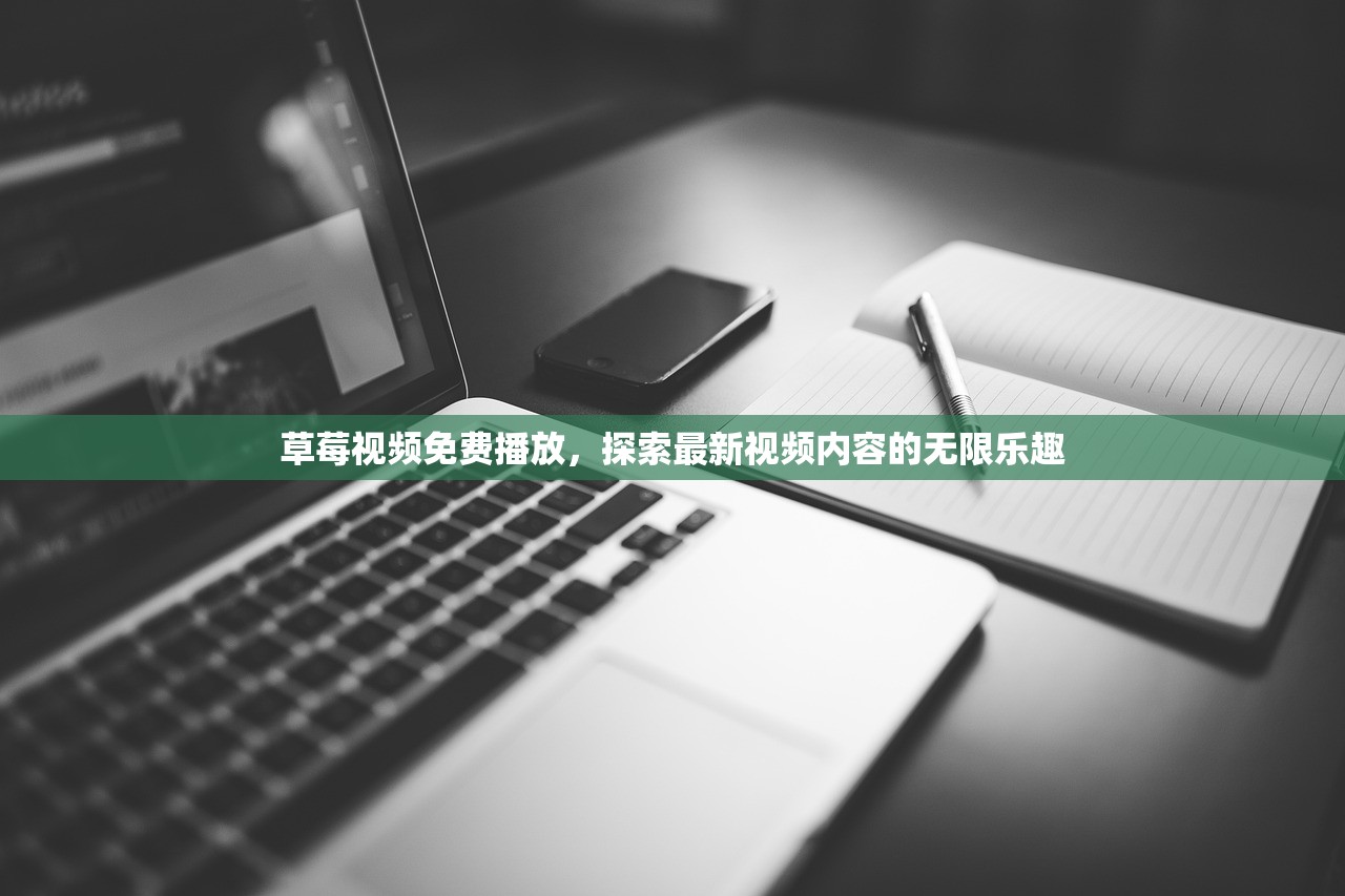 草莓视频免费播放，探索最新视频内容的无限乐趣