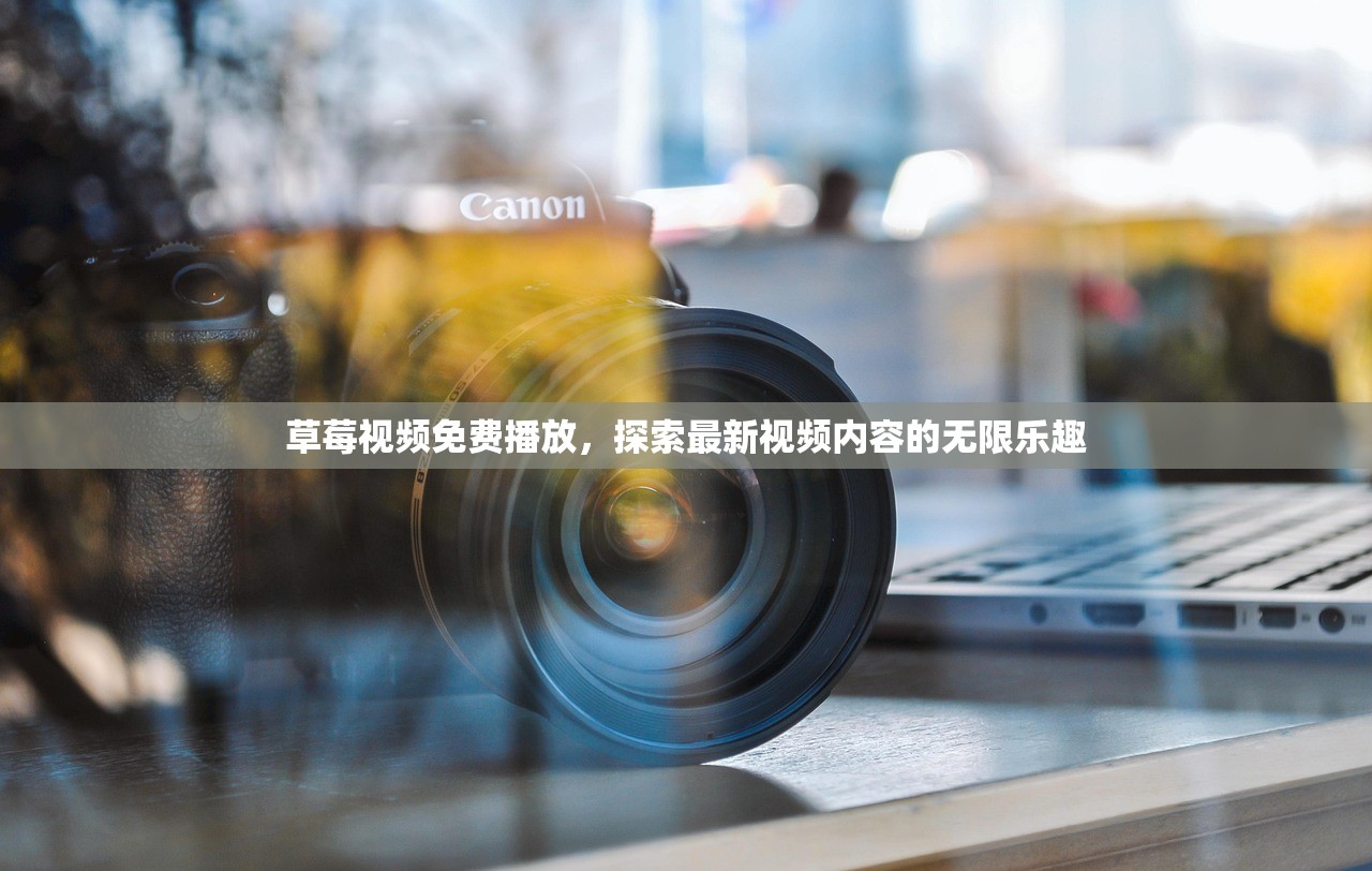 草莓视频免费播放，探索最新视频内容的无限乐趣