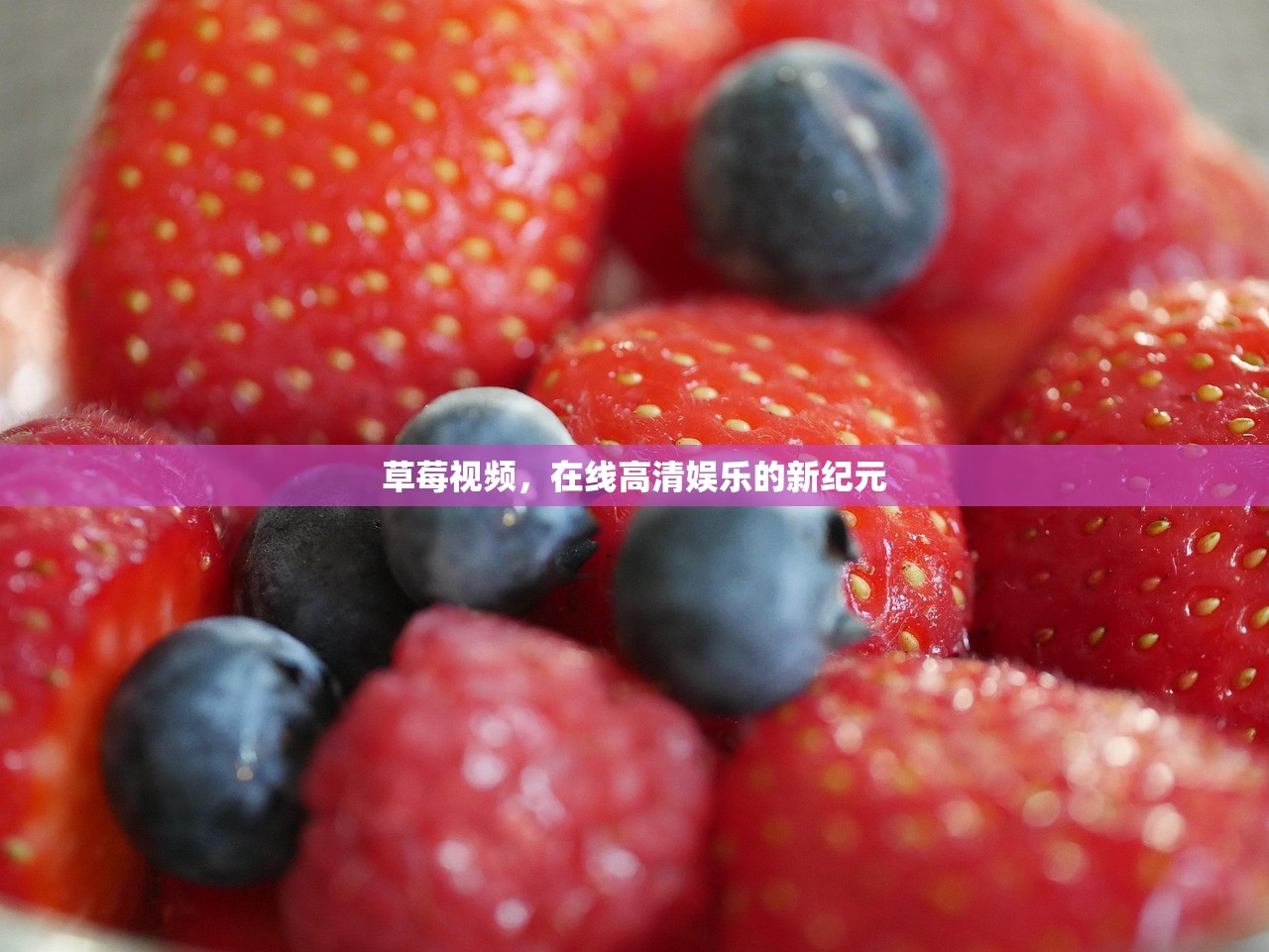 草莓视频，在线高清娱乐的新纪元