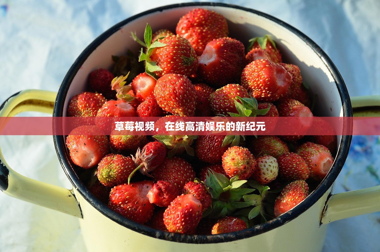 草莓视频，在线高清娱乐的新纪元