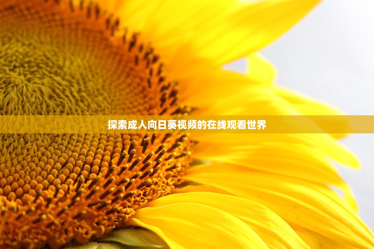 探索成人向日葵视频的在线观看世界