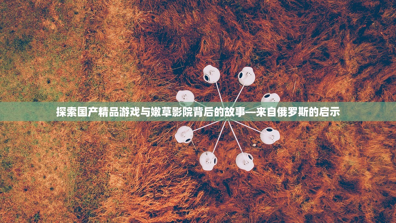 探索国产精品游戏与嫩草影院背后的故事—来自俄罗斯的启示