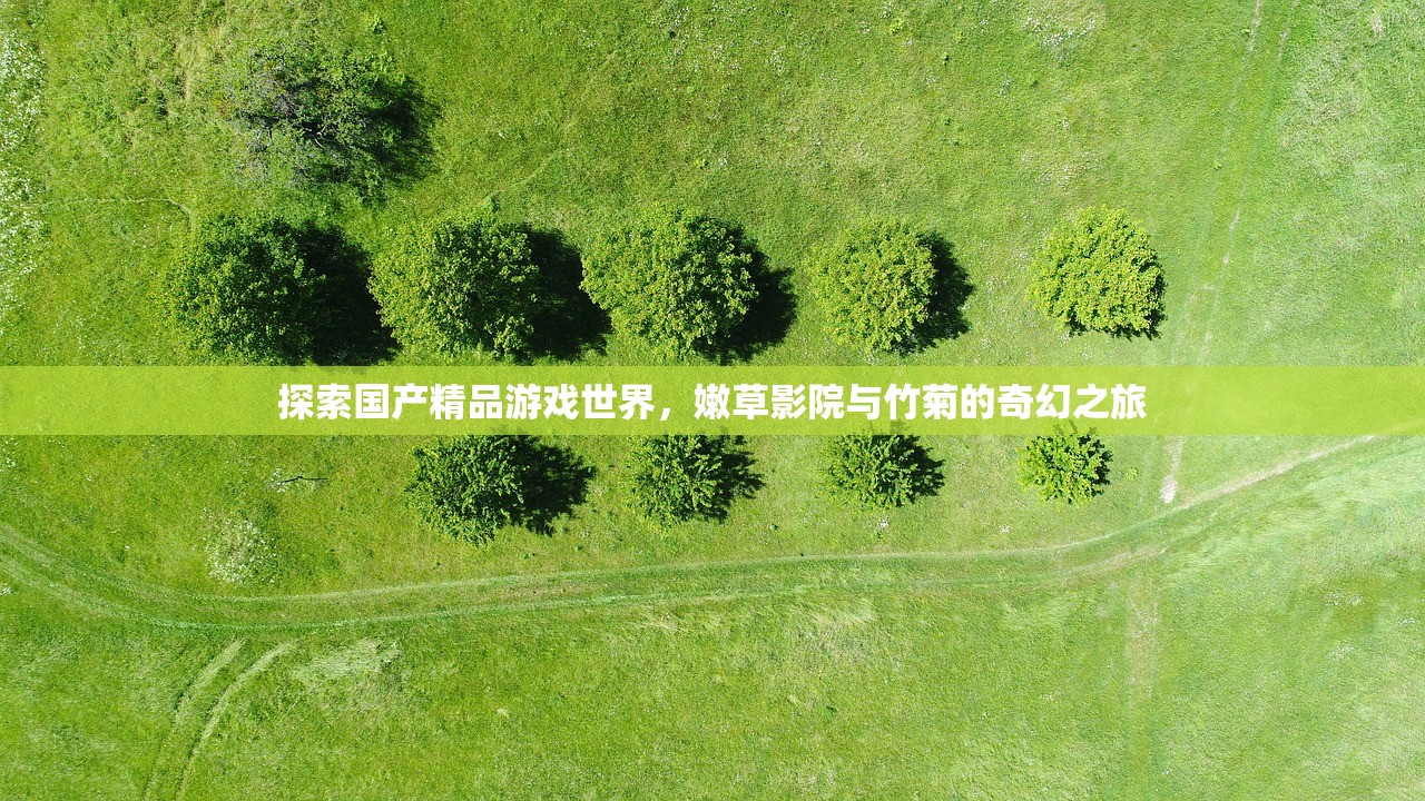 探索国产精品游戏世界，嫩草影院与竹菊的奇幻之旅