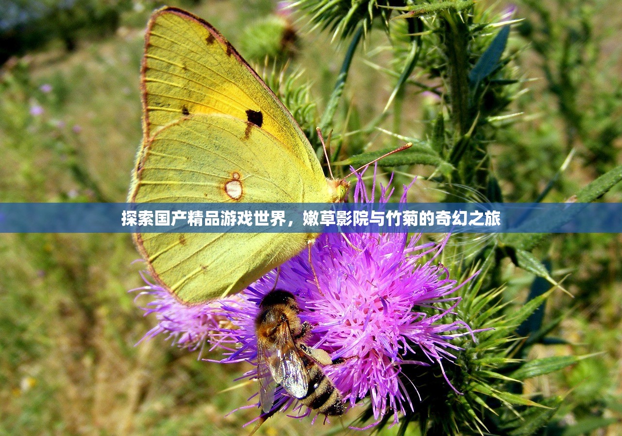 探索国产精品游戏世界，嫩草影院与竹菊的奇幻之旅