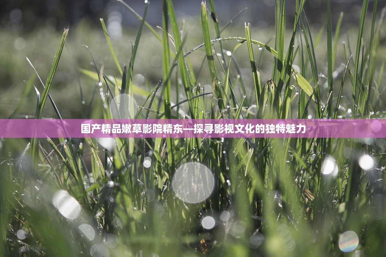 国产精品嫩草影院精东—探寻影视文化的独特魅力