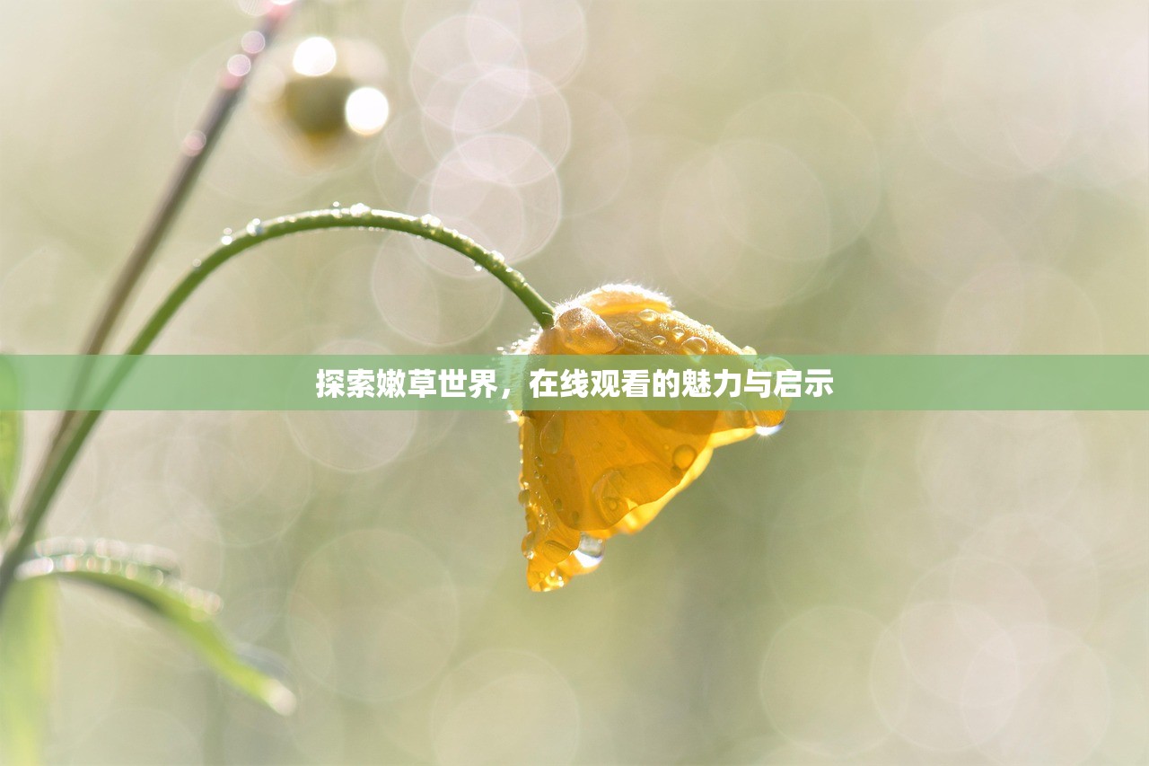 探索嫩草世界，在线观看的魅力与启示