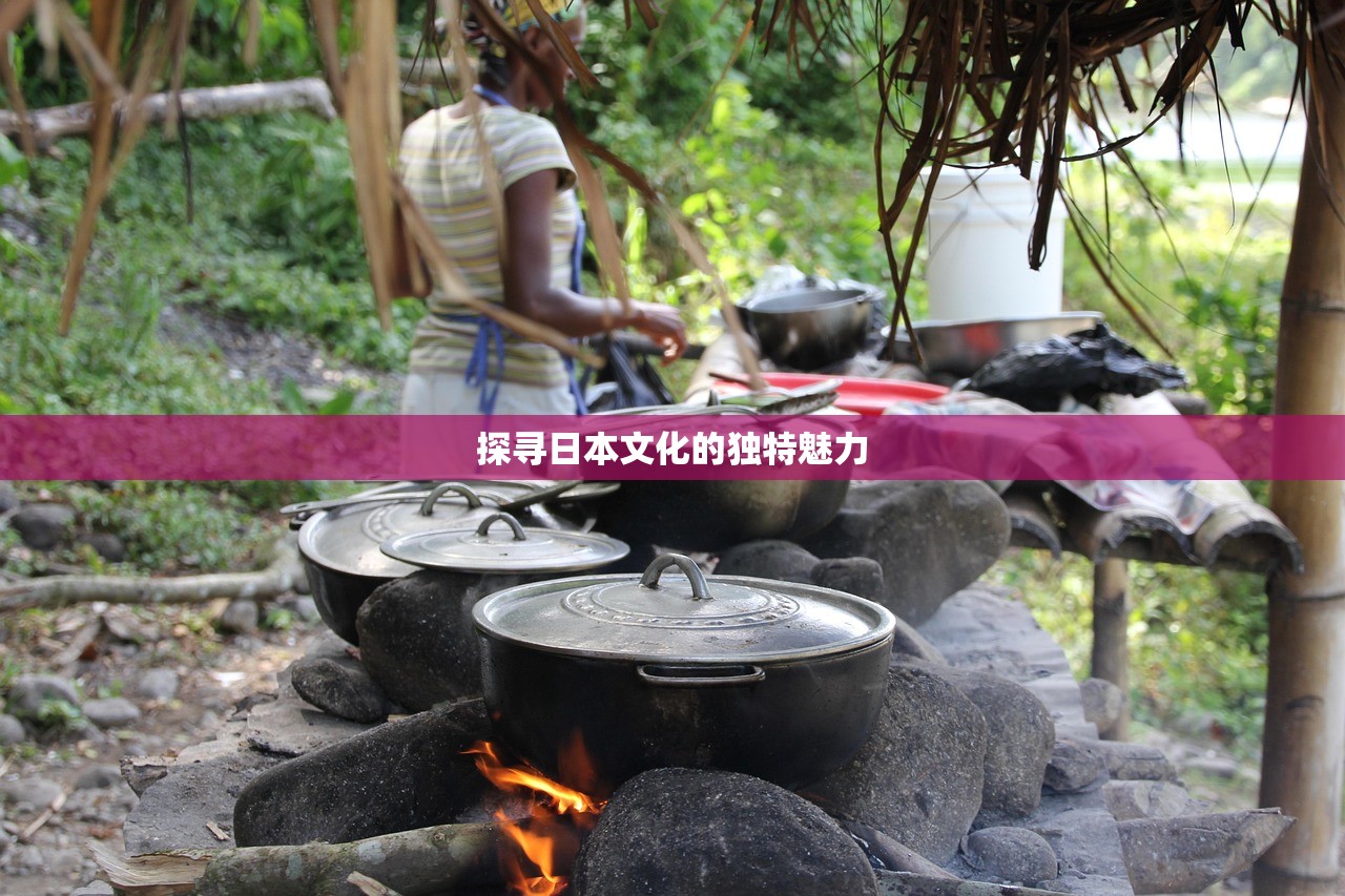探寻日本文化的独特魅力