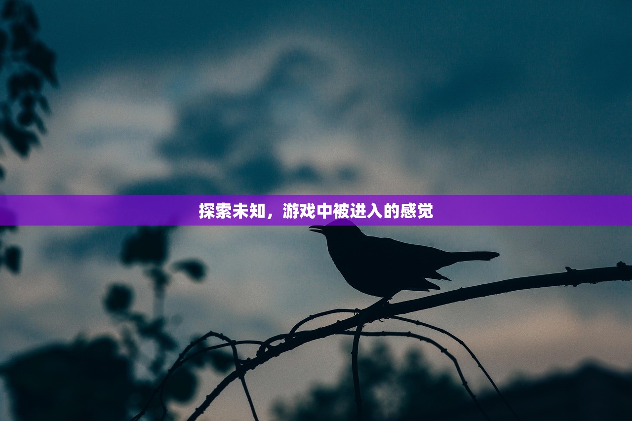 探索未知，游戏中被进入的感觉