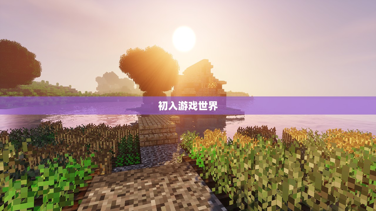 初入游戏世界