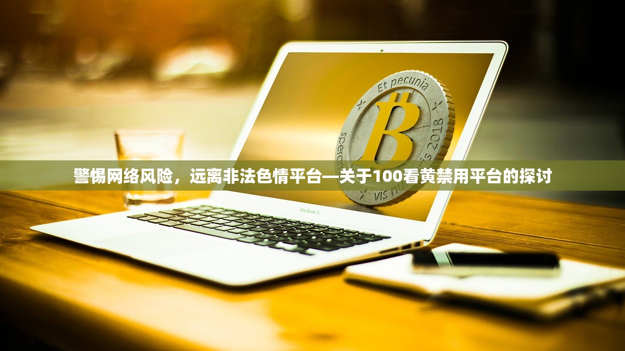 警惕网络风险，远离非法色情平台—关于100看黄禁用平台的探讨