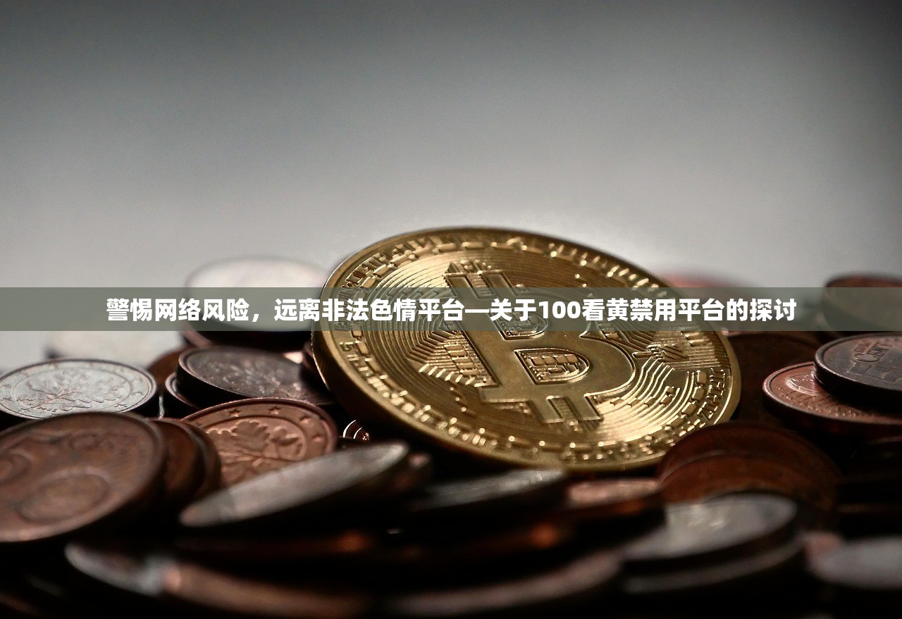 警惕网络风险，远离非法色情平台—关于100看黄禁用平台的探讨