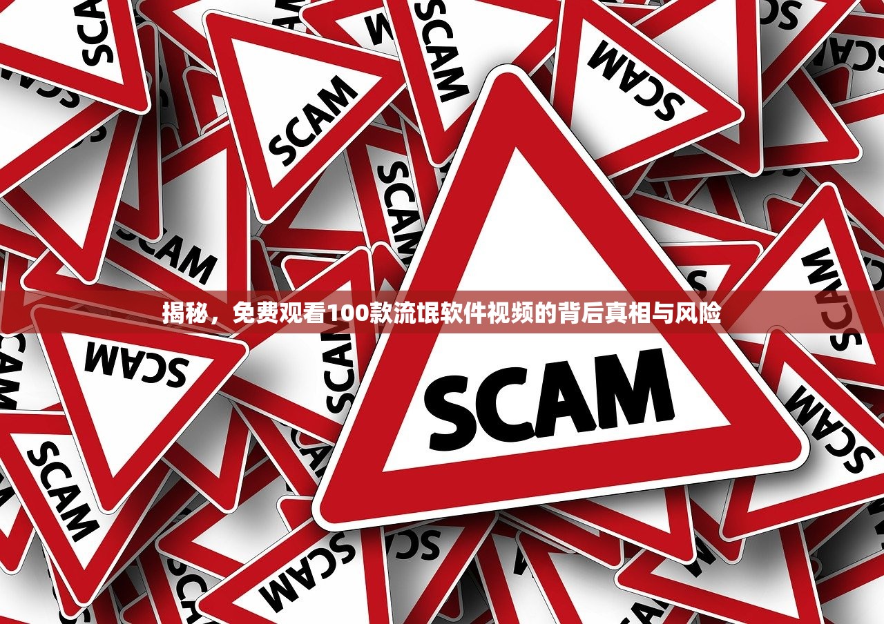 揭秘，免费观看100款流氓软件视频的背后真相与风险