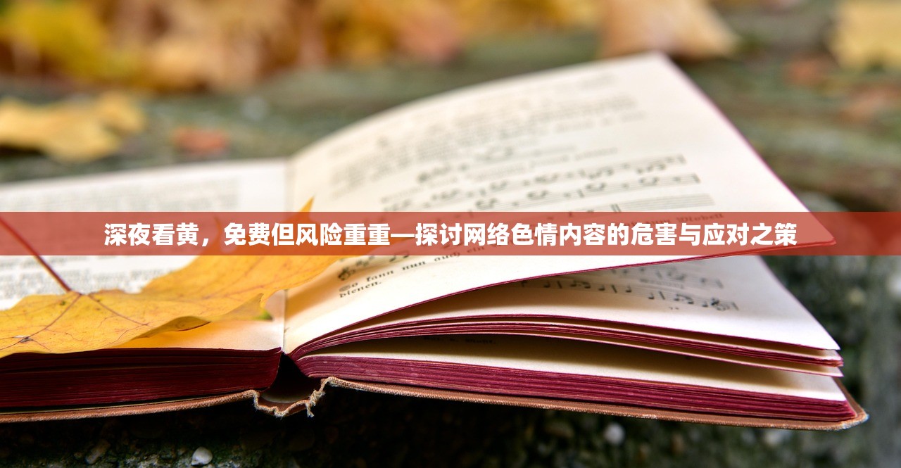 深夜看黄，免费但风险重重—探讨网络色情内容的危害与应对之策