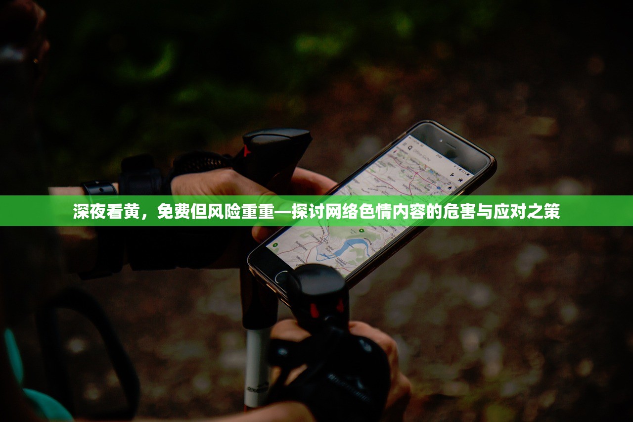 深夜看黄，免费但风险重重—探讨网络色情内容的危害与应对之策