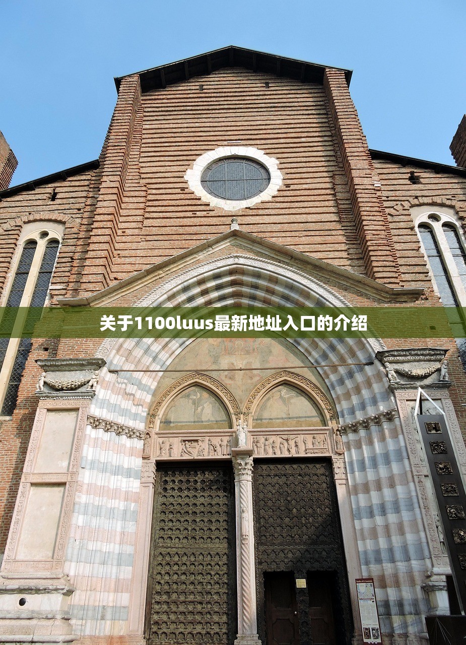 关于1100luus最新地址入口的介绍