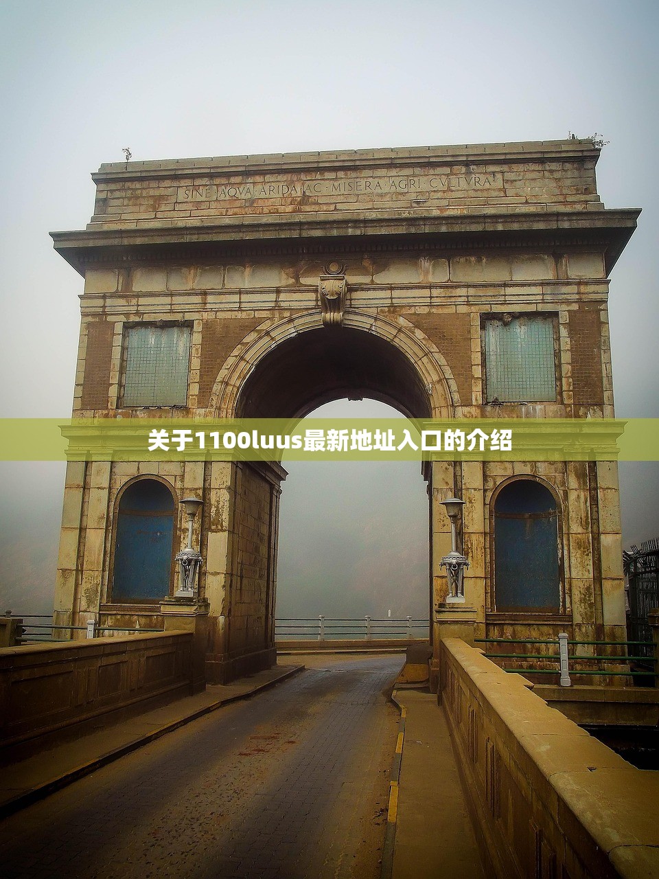 关于1100luus最新地址入口的介绍