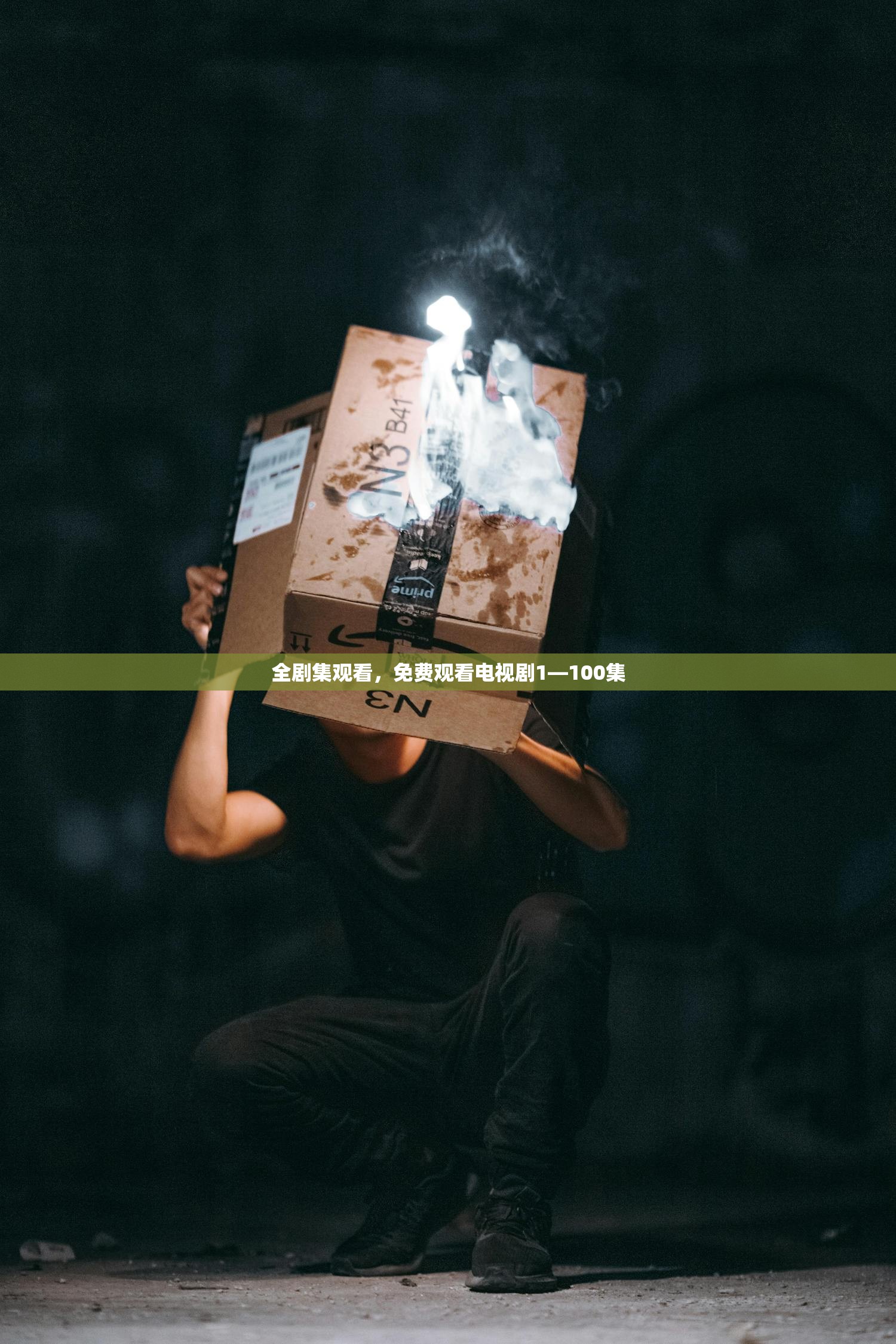 全剧集观看，免费观看电视剧1—100集