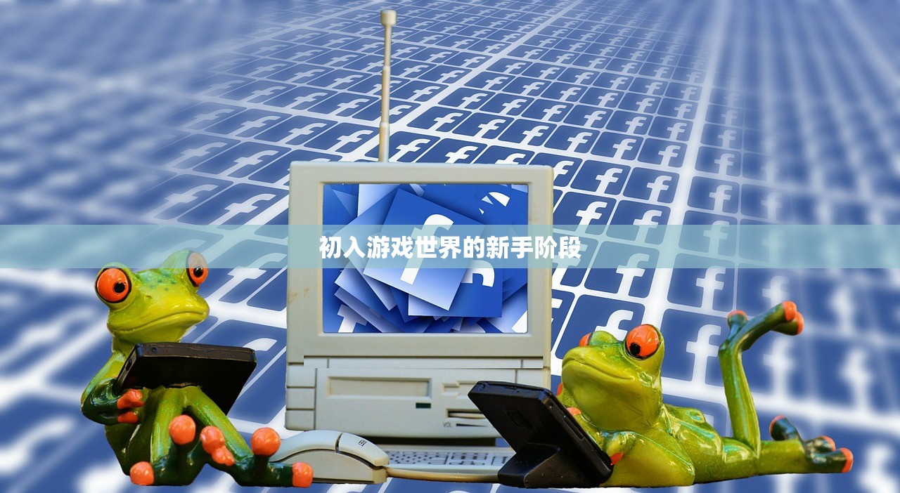 初入游戏世界的新手阶段