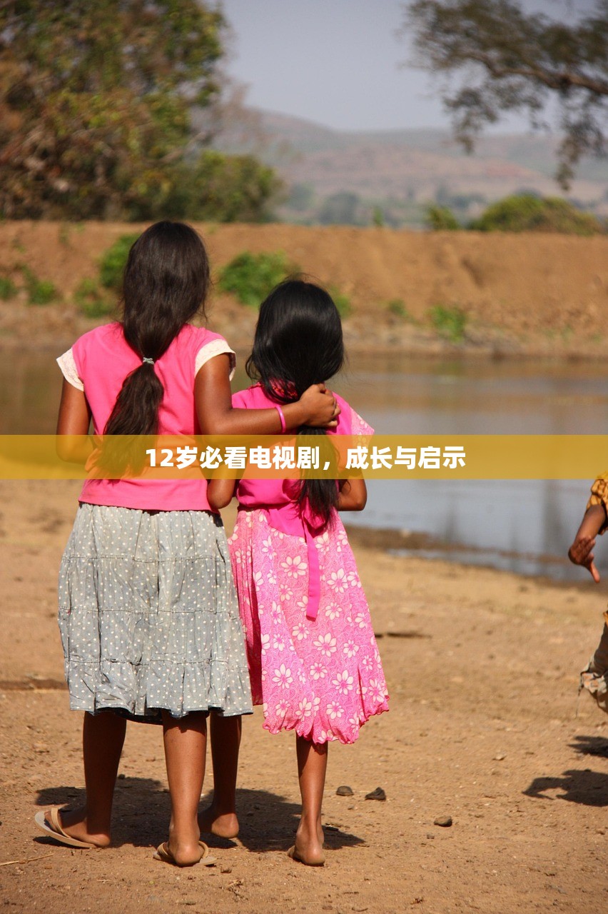 12岁必看电视剧，成长与启示