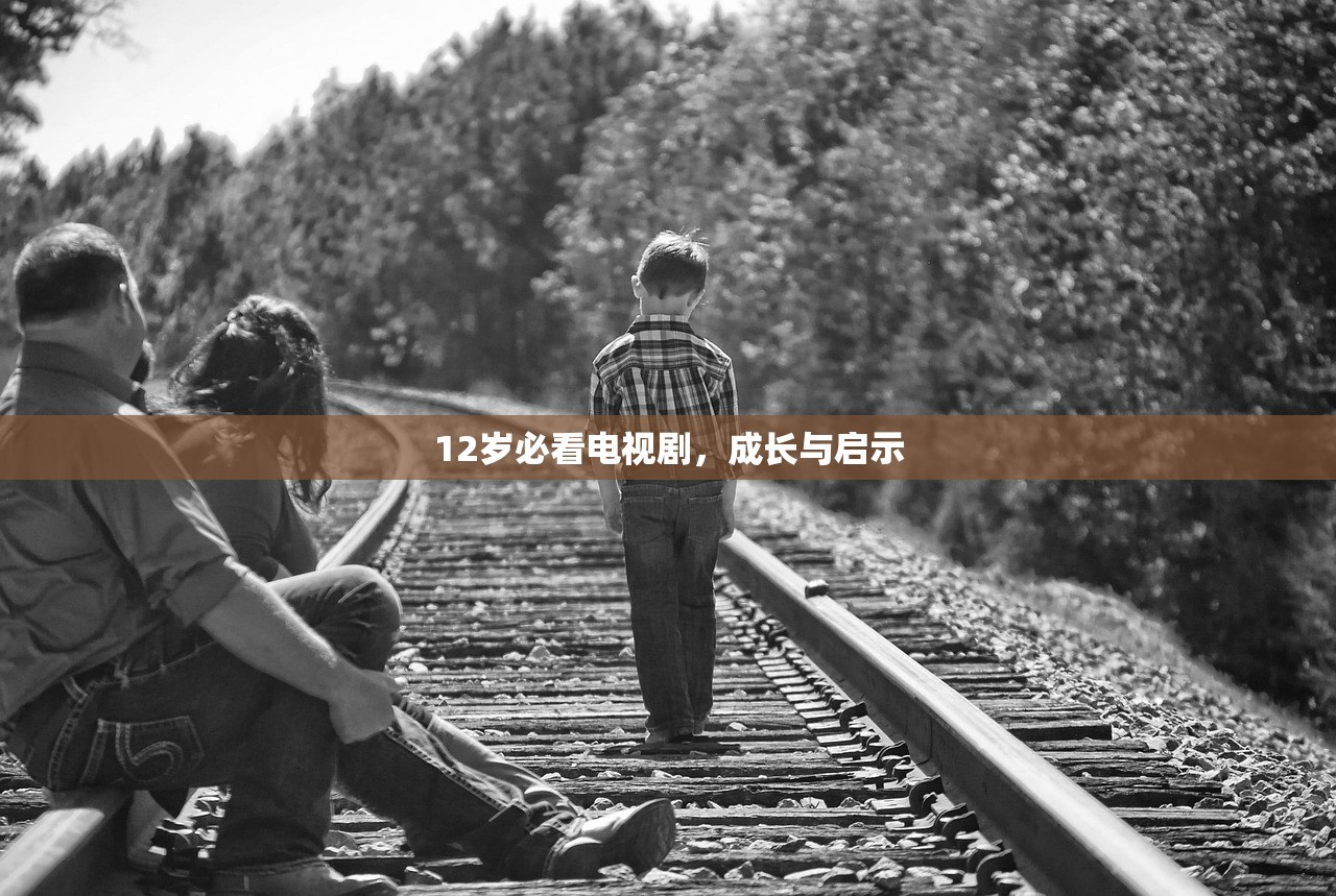 12岁必看电视剧，成长与启示
