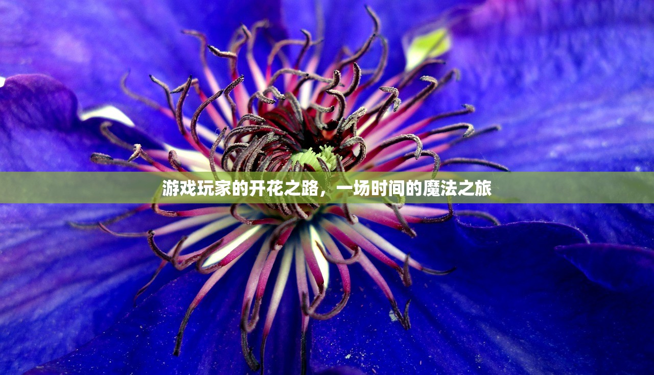 游戏玩家的开花之路，一场时间的魔法之旅