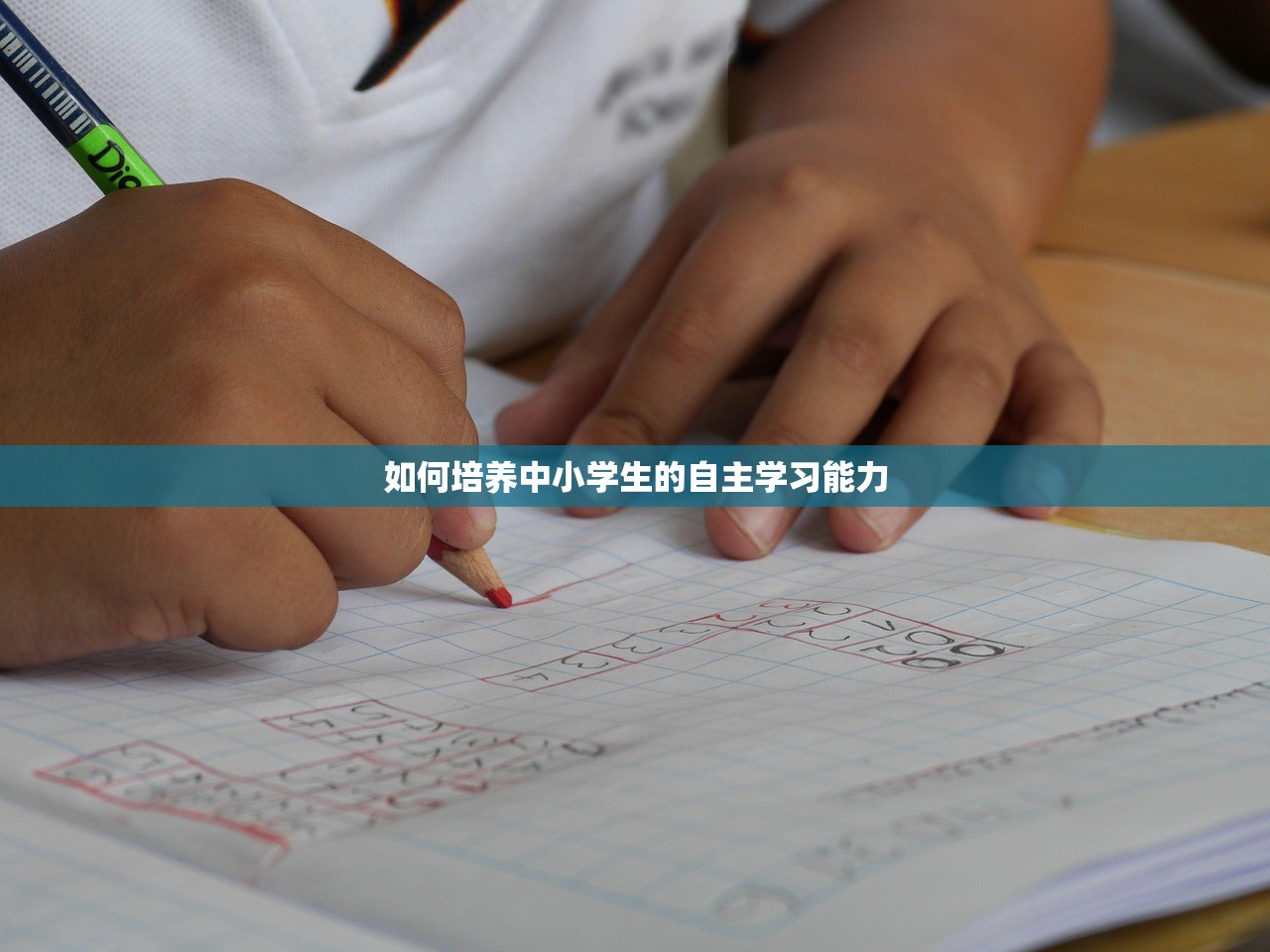 如何培养中小学生的自主学习能力