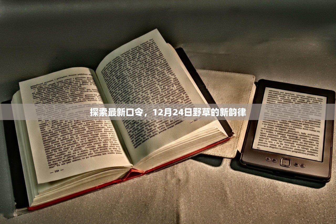 探索最新口令，12月24日野草的新韵律