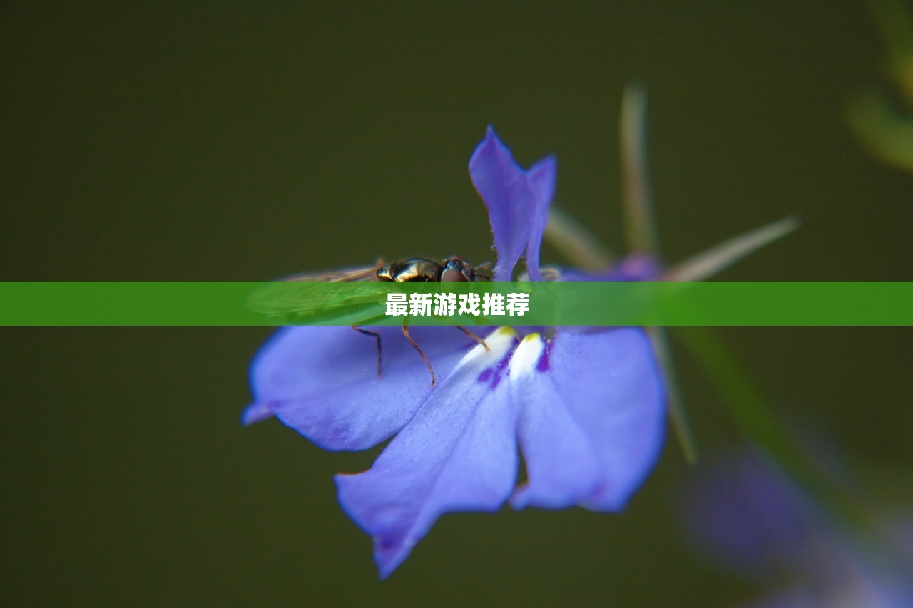 最新游戏推荐
