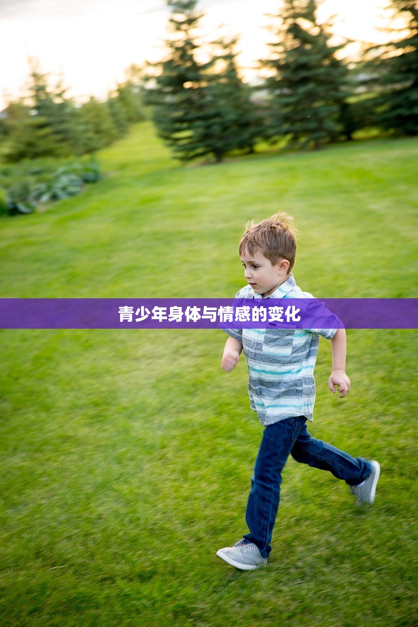 青少年身体与情感的变化