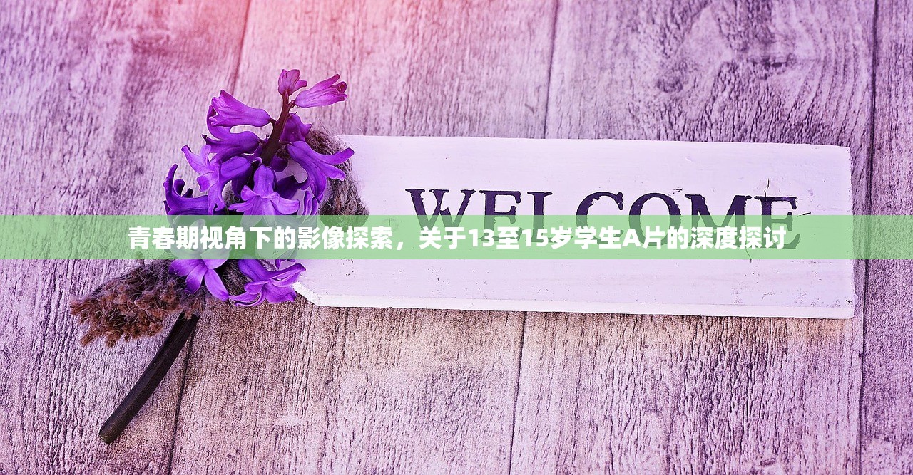 青春期视角下的影像探索，关于13至15岁学生A片的深度探讨