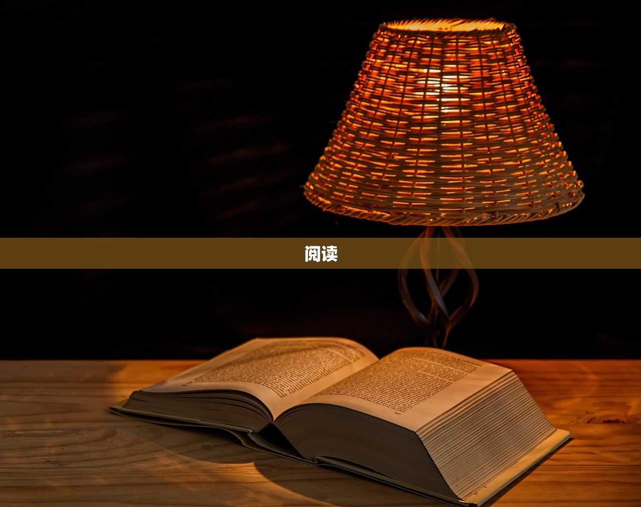 阅读