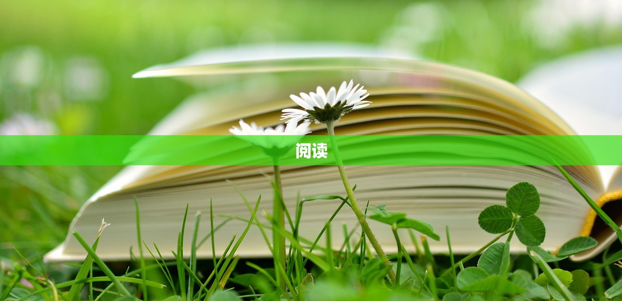 阅读