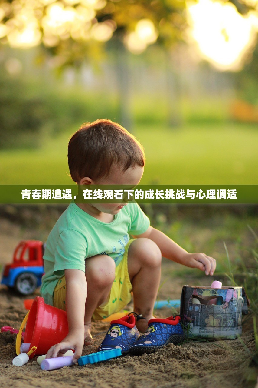 青春期遭遇，在线观看下的成长挑战与心理调适