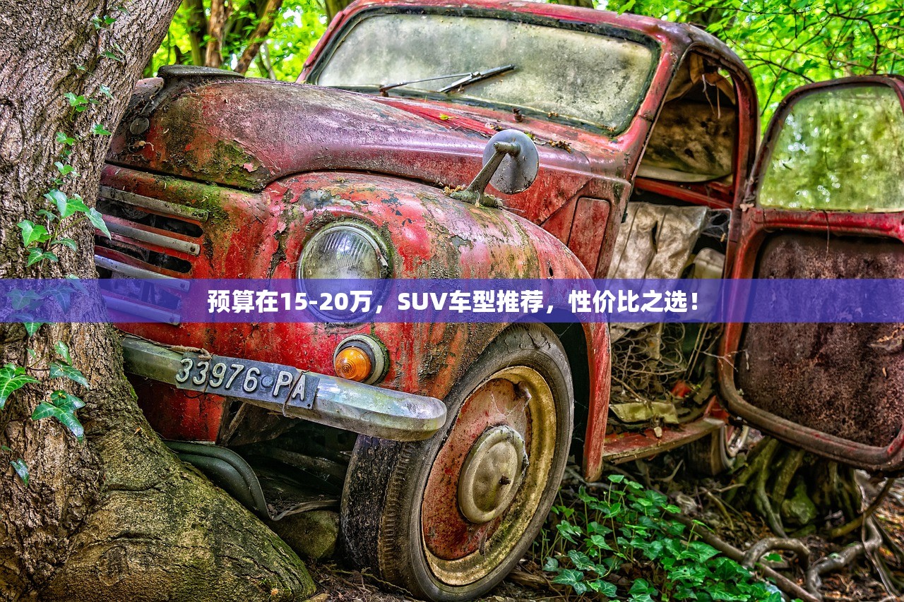 预算在15-20万，SUV车型推荐，性价比之选！
