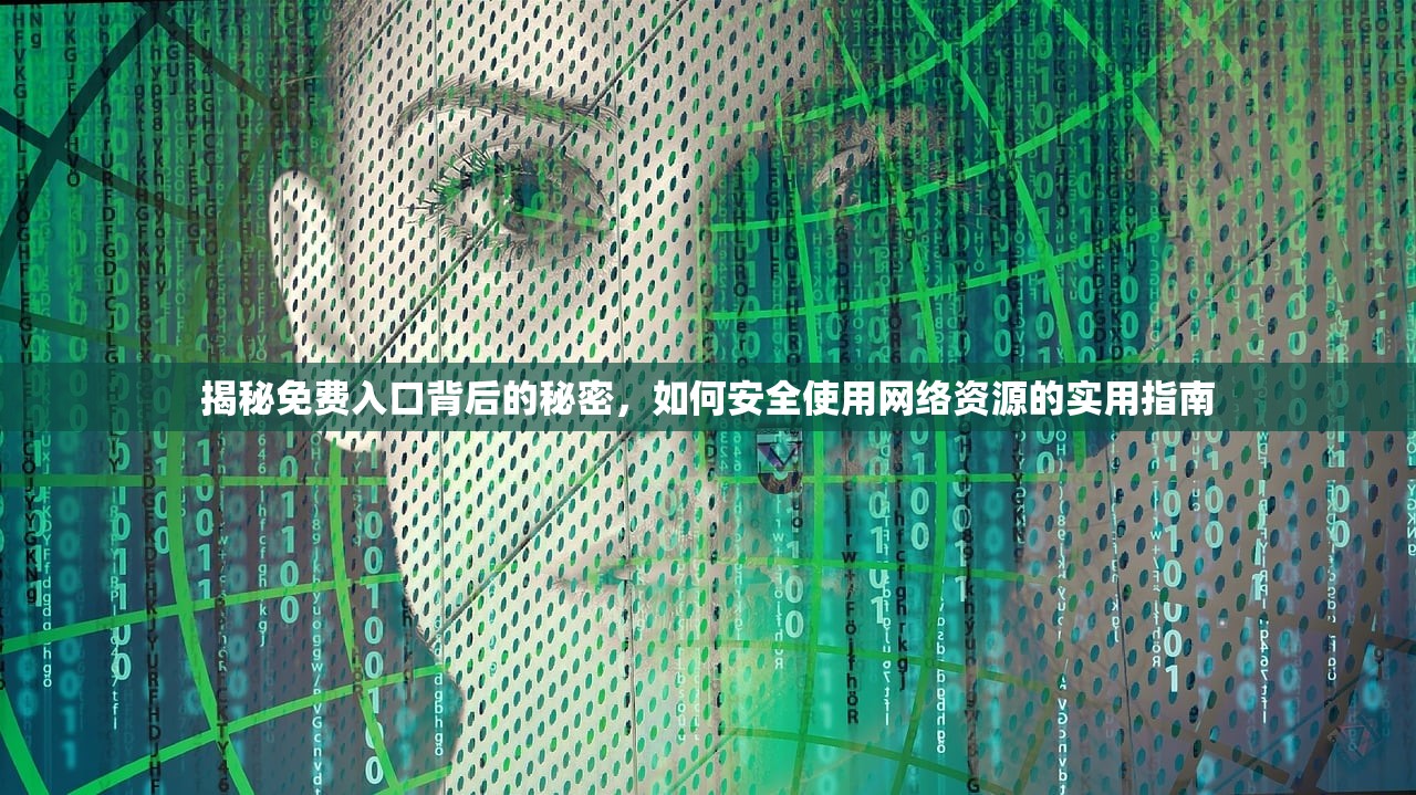 揭秘免费入口背后的秘密，如何安全使用网络资源的实用指南