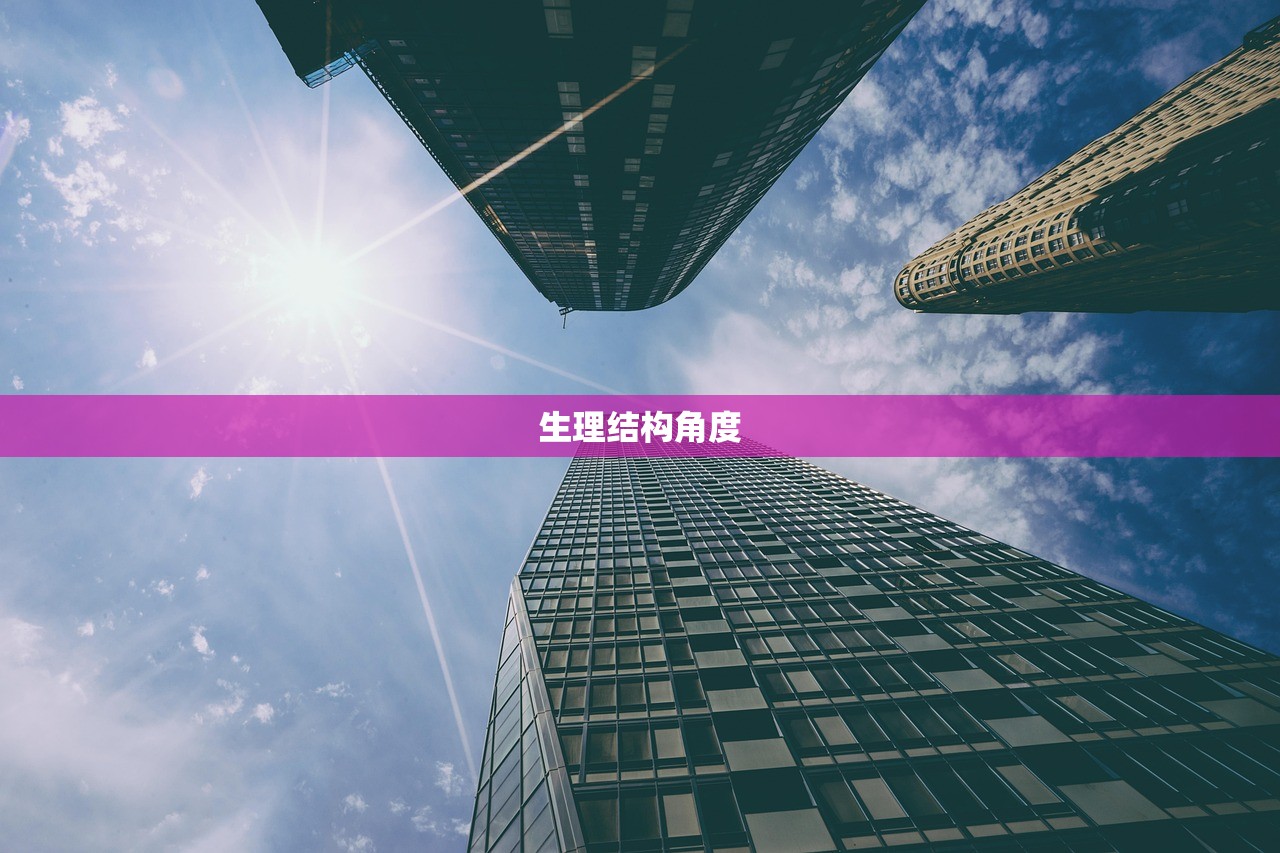 生理结构角度